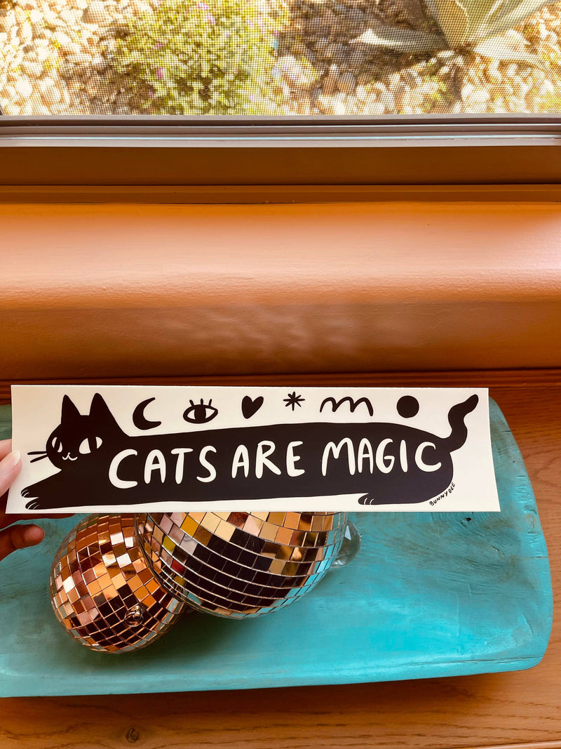 Cats are magic bumper sticker