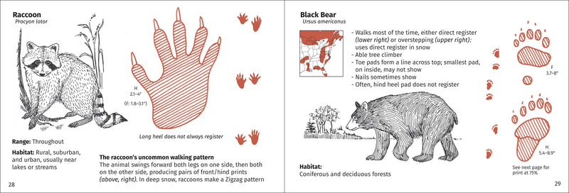 Track Finder Pocket Nature Guide