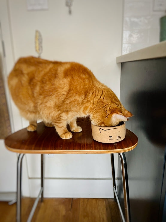 Modern Ceramic Cat Bowl