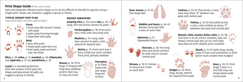 Track Finder Pocket Nature Guide