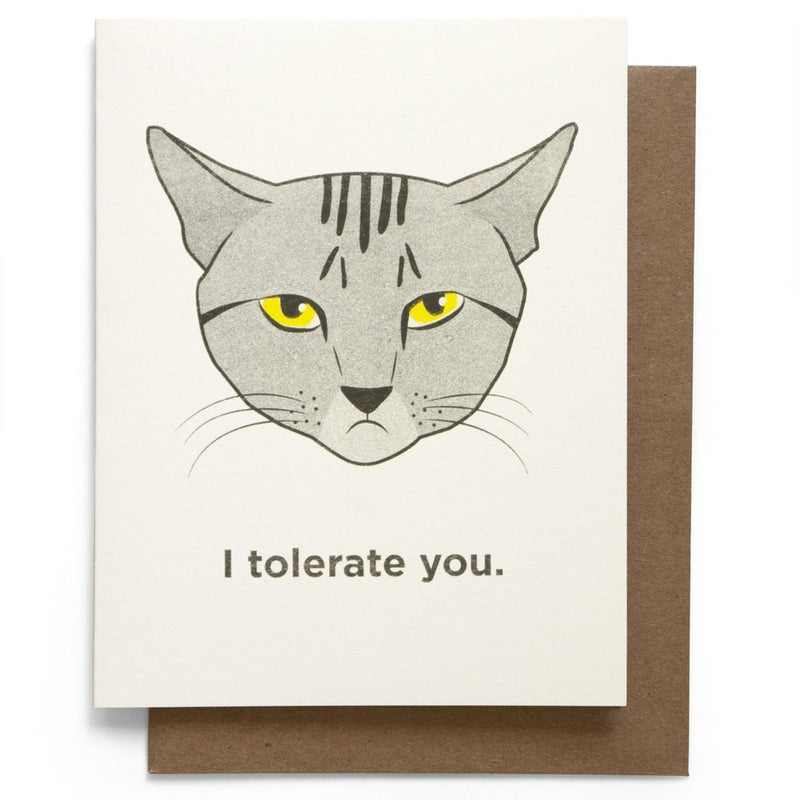 I tolerate You Greeting Card with cat